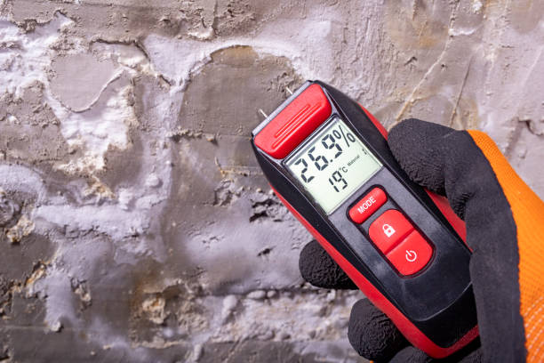 Best Professional Mold Removal  in Fulton, KY